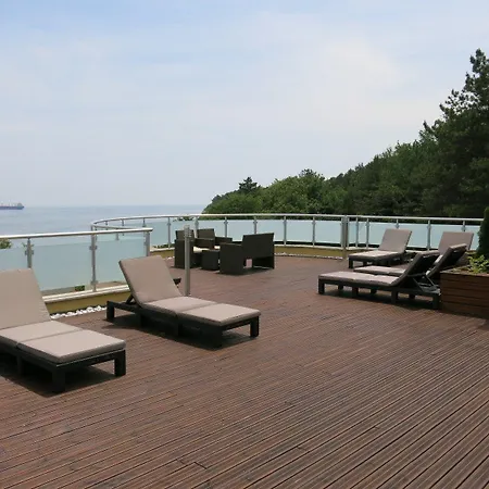 Family Albizia Varna