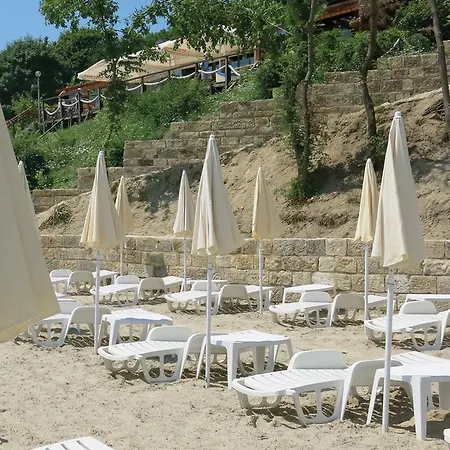 Family Albizia Varna