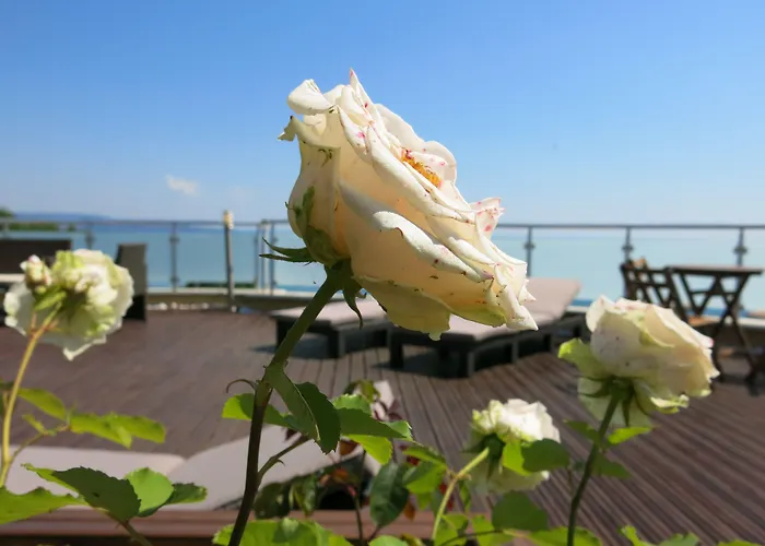 Hotel Family Albizia